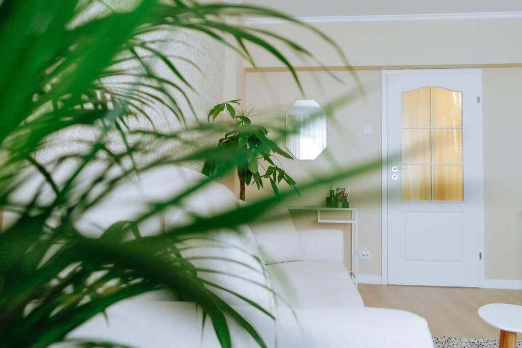 Elegant Vibes Apartment Next To Obor Market ブカレスト エクステリア 写真